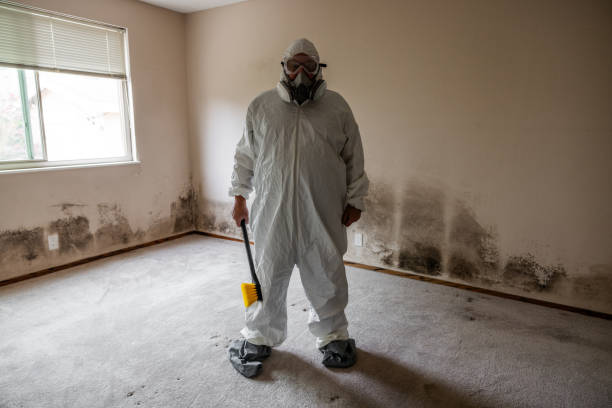 Certified Mold Removal in Cooperstown, NY