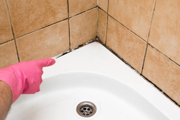 Best Professional Mold Removal  in Cooperstown, NY